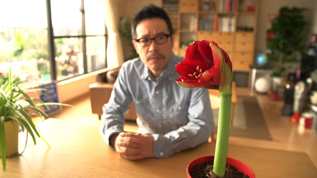 植物男子ベランダー セピア色の世界 植物男子ベランダー セピア色の世界